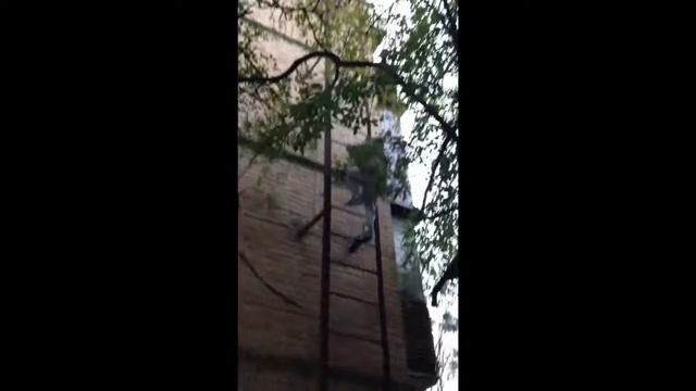 Упал с лестнице смотреть онлайн