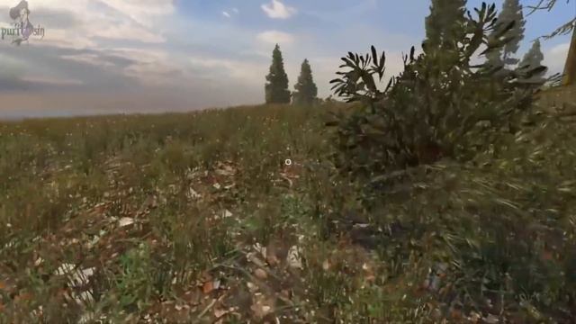 Sinfully Fun Games Vikings Daughter