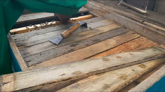 Ставимо полоски від кліщя вароа! смотреть онлайн