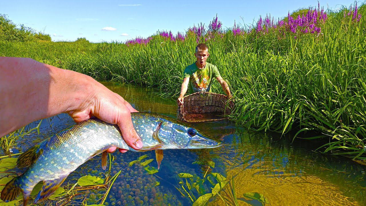 Рыбалка необычным способом! КУЧА КРУПНОЙ РЫБЫ! Подводная съёмка рыбалки! смотреть онлайн