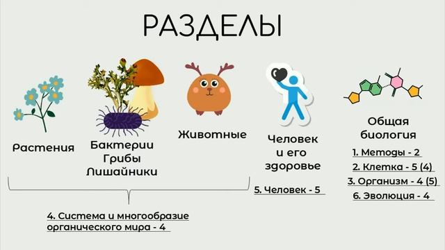 ЕГЭ 2018 Что? Куда? Как готовиться? Кодификатор/ Спецификатор смотреть онлайн