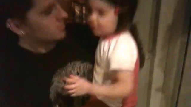 moidodir cover by Niki смотреть онлайн