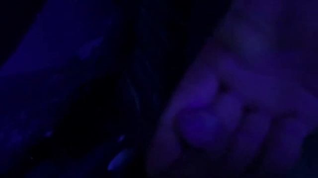 АКВАРИУМ В БЕРЛИНЕ/АЛЕКСАНДРПЛАТЦ смотреть онлайн
