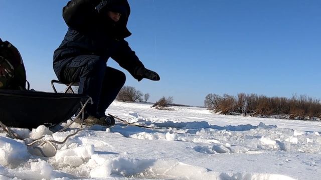 Рыбалка зимой. Ловим щук и сигов смотреть онлайн