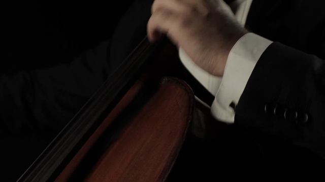 Albinoni Adagio, Stepan Hovsepyan