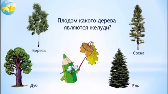Ознакомление с окружающим миром. Группа предшкольной подготовки. ДОД. смотреть онлайн