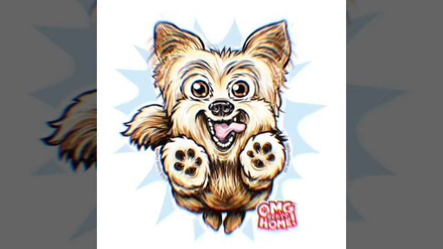 OMG You're Home Yorkie introduction смотреть онлайн