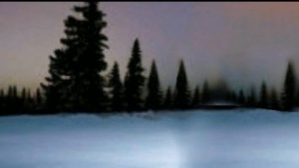 polar bear 2026 meme