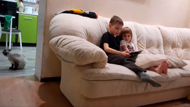 ДЕТСКАЯ КРОВАТЬ-КОТ?СБОРКА КРОВАТИ//ОБЗОР ЦЕН МЯГКОЙ МЕБЕЛИ 2021/НАШИ ПОКУПКИ ИЗ ПЯТЕРОЧКИ. смотреть онлайн