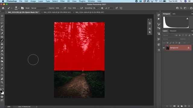 Moody Tree Blur Tutorial | Cool Photoshop Hack To Make Your Photos STAND OUT! смотреть онлайн