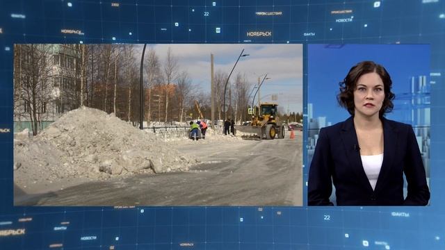 Мужчины оттачивают навыки военно-тактической подготовки смотреть онлайн