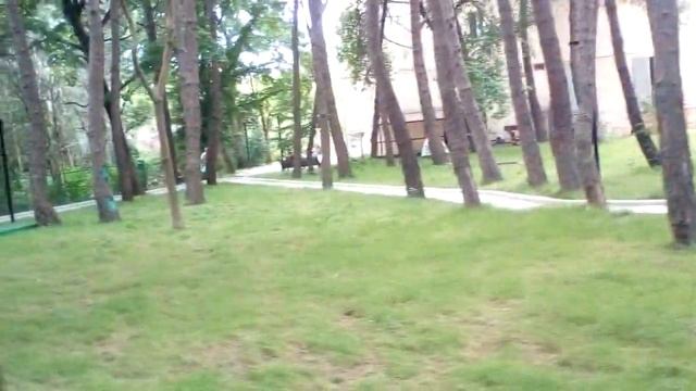 Пансионат Литфонд (Дом творчества им. Д. Гулиа), Пицунда, Абхазия смотреть онлайн