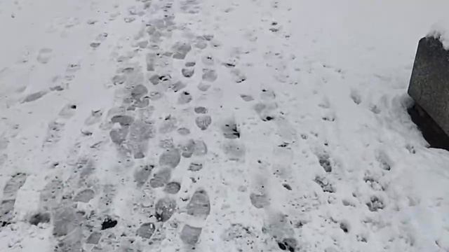 Снег в Бресте 2 апреля смотреть онлайн