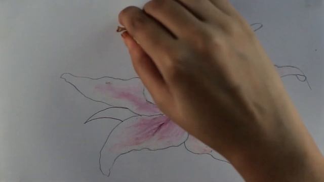 How to Draw Lily Flower Drawing Tutorial in Oil Pastel Very Easy смотреть онлайн