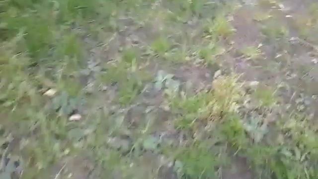как надо и не нано прыгать через забор смотреть онлайн