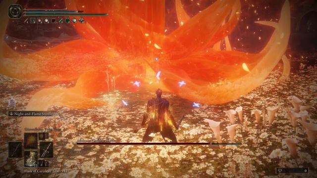 Beating Malenia w/ Different Build Every Week Until Elden Ring DLC News Day 37 feat. Soul of Cinder смотреть онлайн