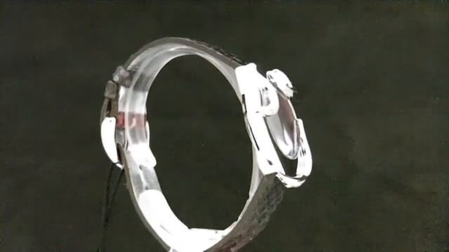 Женские наручные часы ROBERTO CAVALLI - 7251 165 523 смотреть онлайн