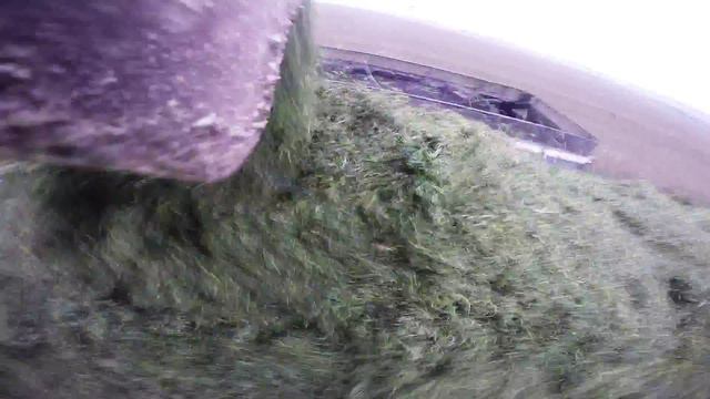 Jorgensen Land and Cattle Alfalfa Silage смотреть онлайн