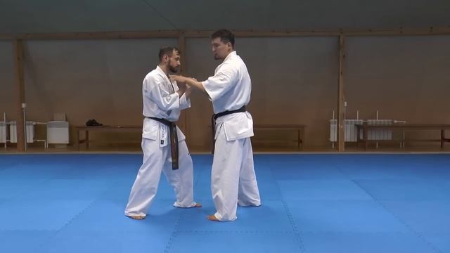 Darmen Sadvokasov - the principle of fighting in karate kyokushinkai смотреть онлайн
