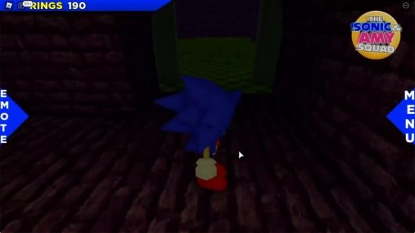 Sonic and Amy's Romantic ROBLOX DATE!? - Sonic & Amy Squad