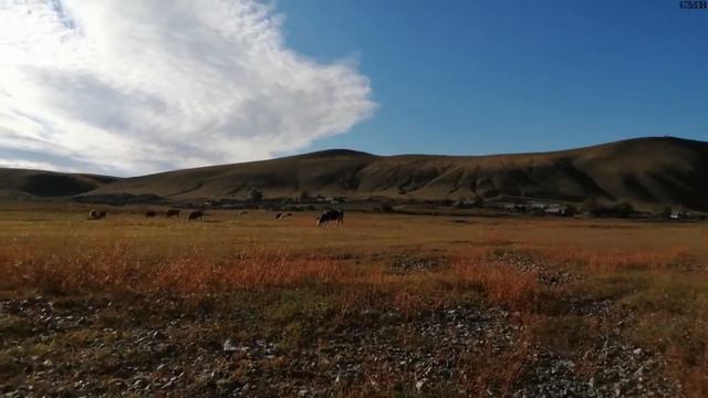 "Река Онон" Забайкальский край. Шилкинский район. 16.09.2021. Михаил Селезнёв смотреть онлайн