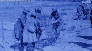 Что такое колючая проволока