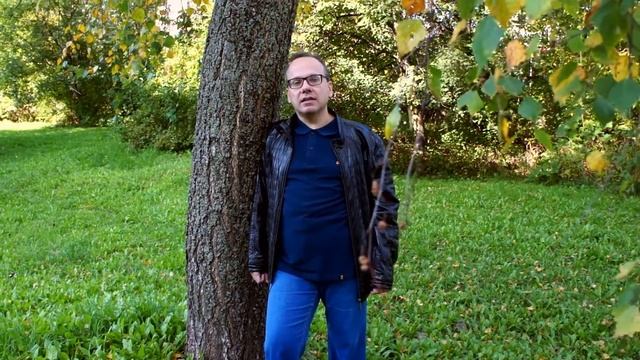 Игорь Столяров "В продувном биеньи листьев..." смотреть онлайн