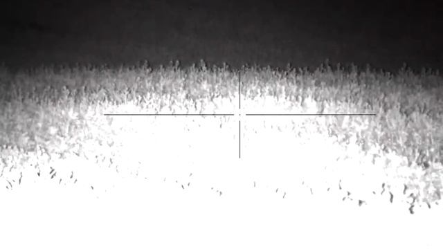 Pulsar Digisight Ultra N455 liška 01052021 смотреть онлайн