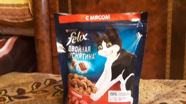 случайно выключила камеру кошачий корм пурина Феликс смотреть онлайн