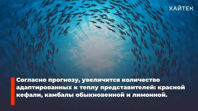 Атмосфера Солнца, массовое вымирание рыбы и где опасно работать в России смотреть онлайн
