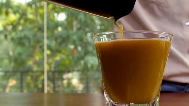 Зоопарк и Дикие Животные