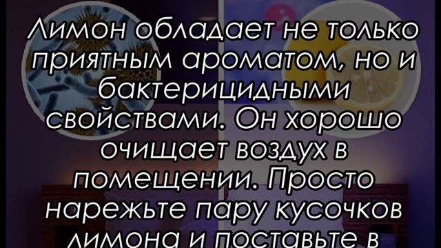 Что произойдет, Если положить Кусочек Лимона рядом с кроватью? смотреть онлайн