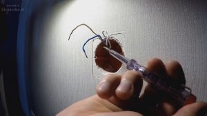 Как заменить  двухклавишный выключателя Legrand ( Легранд ).