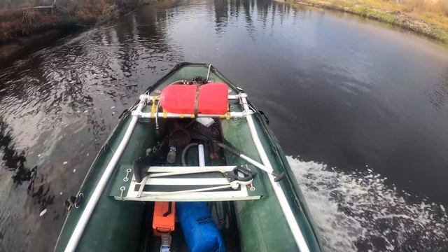 Alaska Moose Hunting Season