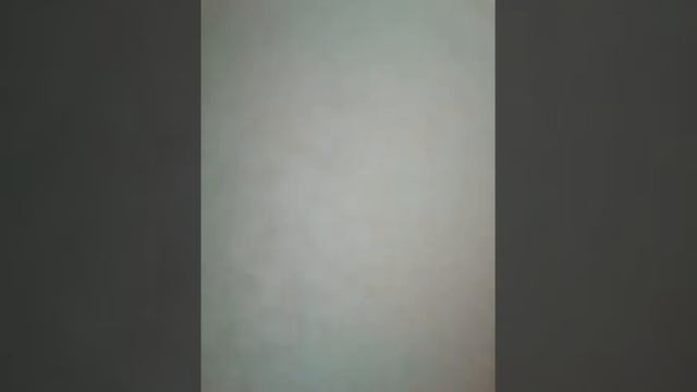Мой хомяк ест хлеб😜😜😜😚😚😚😚 смотреть онлайн