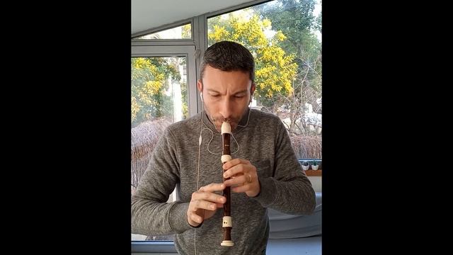 Gabriel's Oboe, Morricone * flauto - recorder * spartito sheet music at minute 3:05 of the video смотреть онлайн