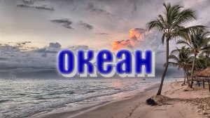 ОКЕАН,КРИКИ ЧАЕК для сна, ASMR для успокоения нервной системы, медитации, снятия стресса!