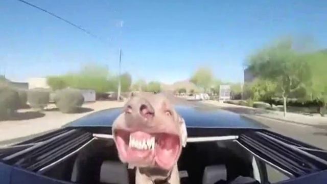 Підбір вентилятора в квартиру смотреть онлайн