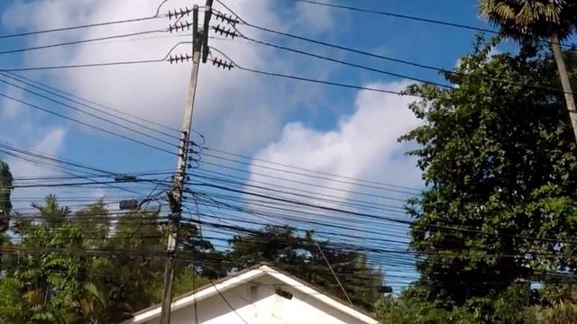 Паутина в Таиланде смотреть онлайн