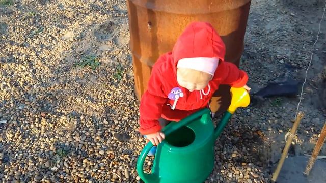 Алиса и полив клубники.