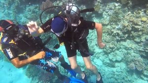 ?ЕГИПЕТ Domina Coral Bay  Дайвинг первый раз, погружение с аквалангом Шарм эль Шейх