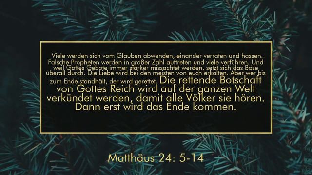Der König kommt - 1. Advent | Die Endzeit | Erich Neufeld | 29.11.20 смотреть онлайн