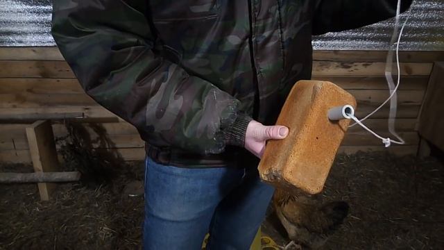 Как не дать курам зажиреть? Фитнес! // Содержание кур зимой // Деревенский лайфхак смотреть онлайн