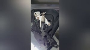 Замена Активатора Форд Фьюжн 2002 - 2012 багажника задней двери.