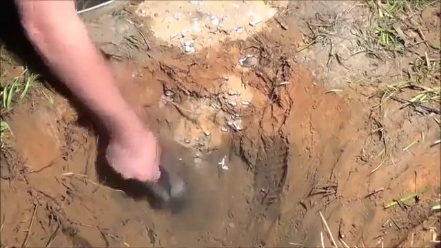 Как выглядит муравейник изнутри смотреть онлайн