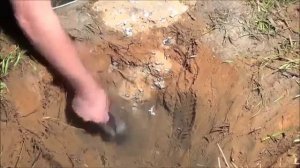 Как выглядит муравейник изнутри