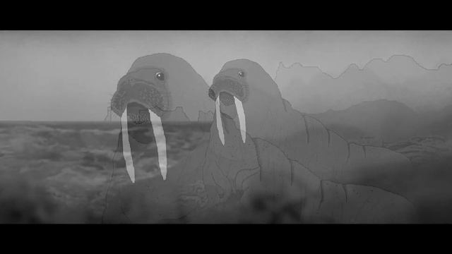 Walrus смотреть онлайн