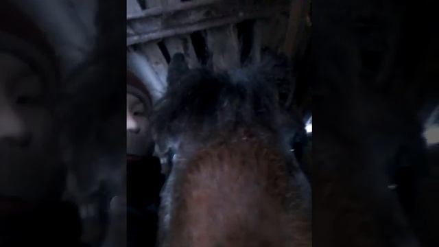 так и было+ 1 в поселке нура смотреть онлайн