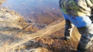 Проверка двухкрылого вятеря.