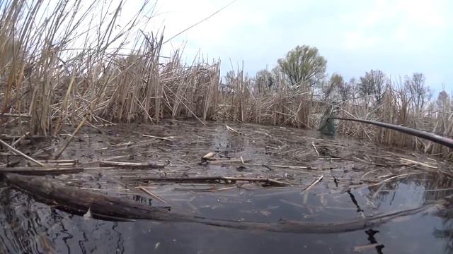 Карасевые места.холодная вода. смотреть онлайн